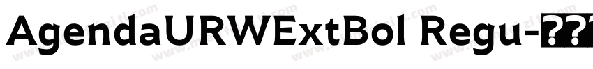 AgendaURWExtBol Regu字体转换